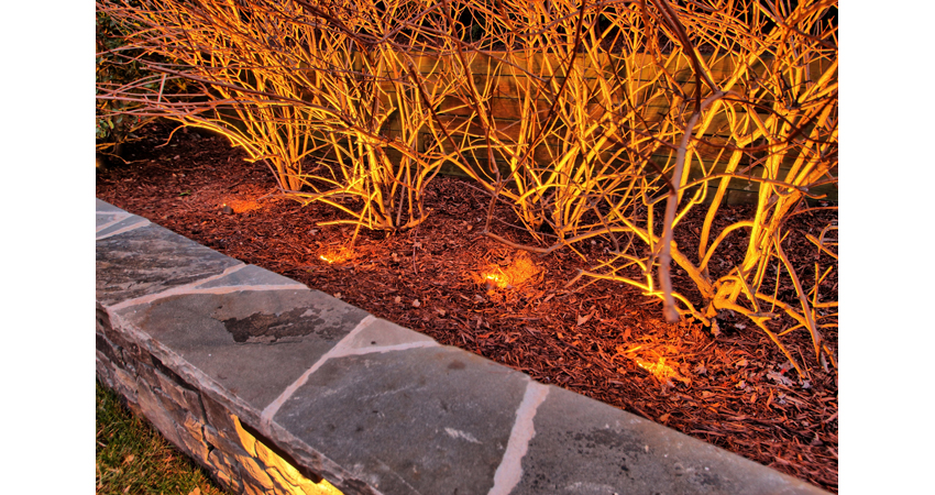 landscape lighting idea for your garden is to light up your plants with lights below them.