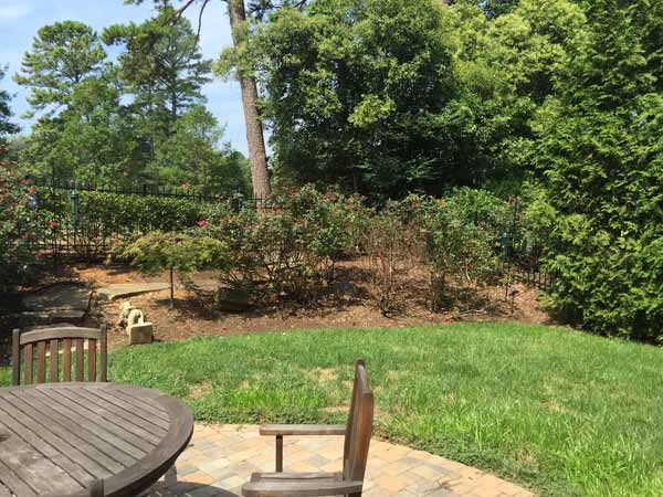 Myers Park Backyard Before