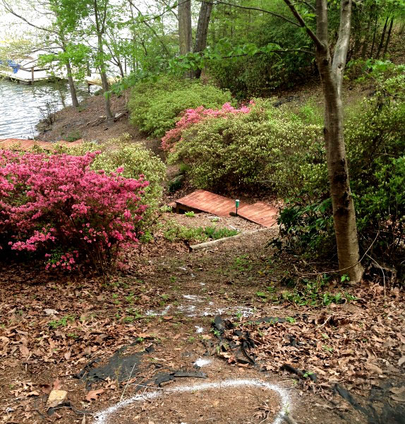 Lakeside sloped backyard with not much flat space