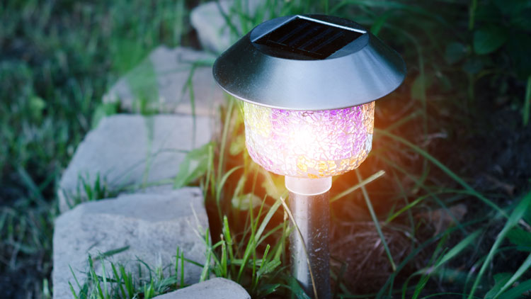 Solar powered light in a garden area as accent lighting and part of a landscape lighting design.