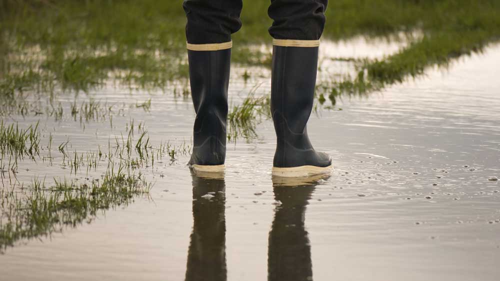 Yard Drainage Solutions for Charlotte Homes