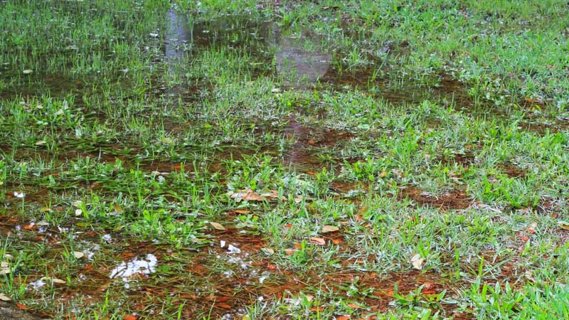 large puddles in the yard of a home with poor drainage