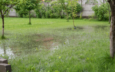 How French Drains Work in Your Charlotte Yard