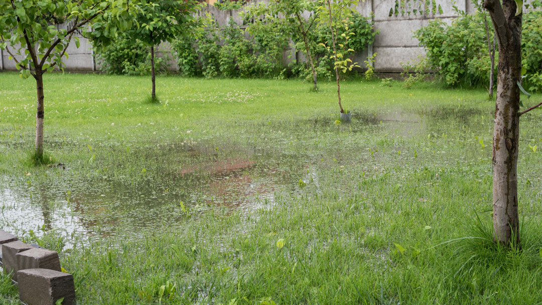 How French Drains Work in Your Charlotte Yard