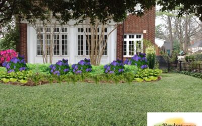 Rules for Designing Your Charlotte Landscape