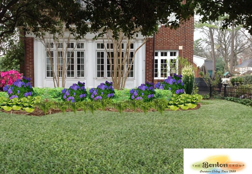 Rules for Designing Your Charlotte Landscape