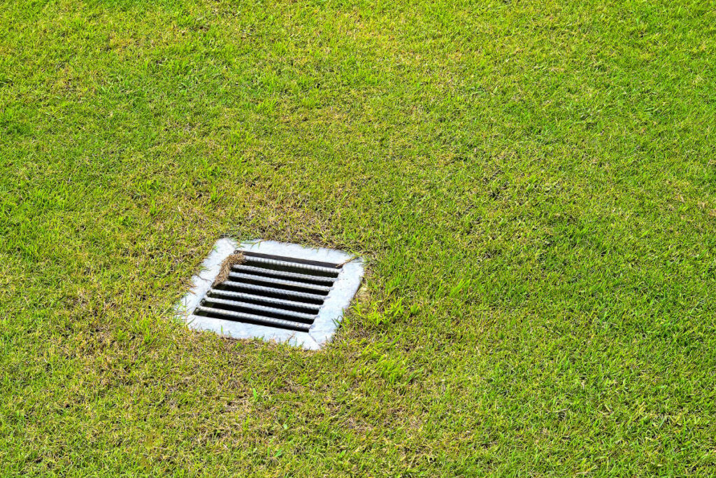 Yard drain in grassy yard